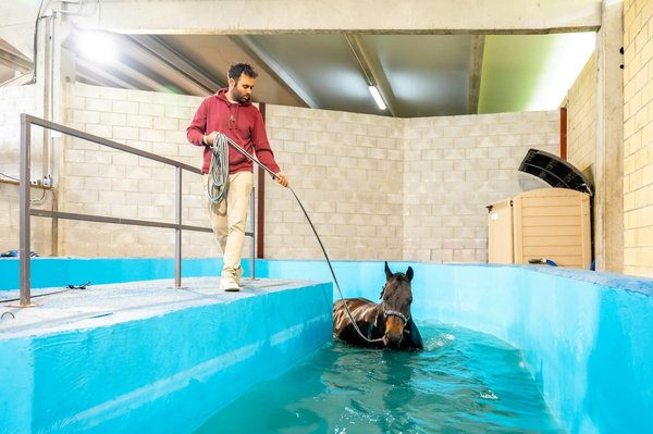 Can the Integration of Aquatic Therapy Enhance Rehabilitation for Post-Operative Knee Patients?